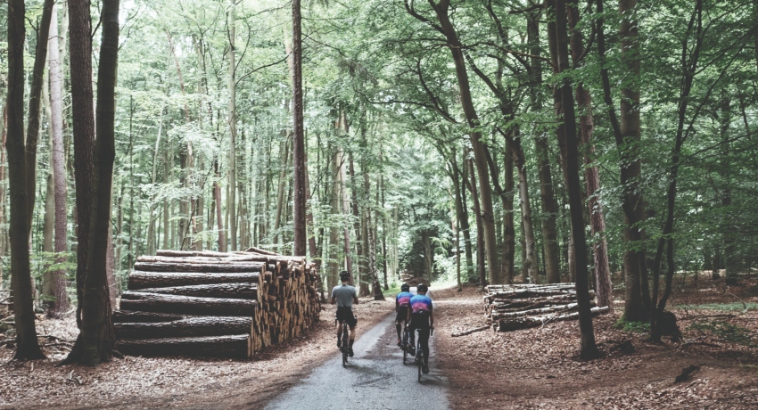Peloton de cyclistes sur des vélos route électrique Focus Paralane dans une forêt